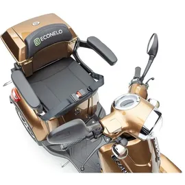 ECONELO P4000 Lithium-Akku Braun