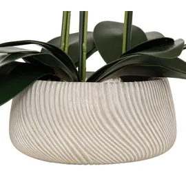 Atmosphera Créateur d'intérieur Künstliche Orchidee SANAE im Blumentopf, 65 cm | Orange
