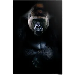Poster REINDERS "Gorilla Gorilla", schwarz (farbe bild(er): schwarz), B:61cm H:91,5cm, Papier, Bilder