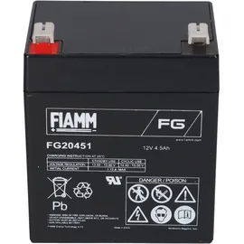 Fiamm FG20451 Pb 12V 4500 mAh 1 St.