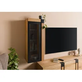 Massivmoebel24 Hängevitrine ROTTERDAM 48 x 35 x 120 cm Beige
