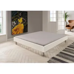 Bett WIMEX "Easy, große Auswahl an Größen und Farben, auch in Komforthöhe", weiß (weiß, alufarben), H:46cm L:210cm, Betten, ohne Kopfteil, ideal unter Dachschrägen oder Fenster