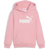 Puma Hoodie Pink 116
