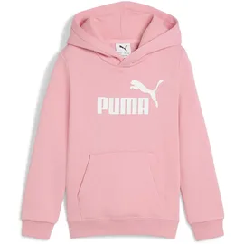 Puma Hoodie Pink 116