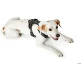 Hunter Maldon Hundehalsband Braun/Grau XS