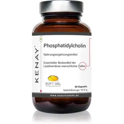 Kenay Phosphatidylcholin Kapseln 60 KAP