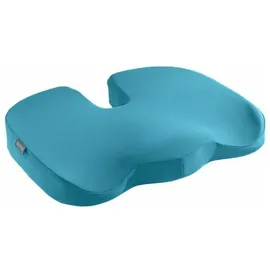 Leitz Sitzkissen Ergo Cosy blau