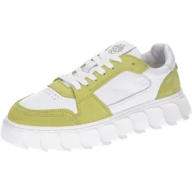 Apple of Eden Damen 40 grün