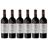 Novantaceppi Primitivo Puglia IGT Rotwein halbtrocken (6 x 0.75 l)