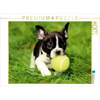 Calvendo Kleiner Französischer Bulldoggenwelpe beim Spielen 1000 Teile Puzzle