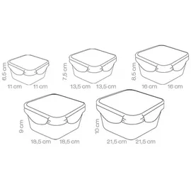 Tescoma Dose FRESHBOX 5 St., quadratisch