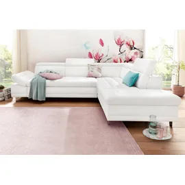 sit&more Ecksofa »Limit L-Form«, wahlweise mit Bettfunktion und Bettkasten