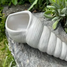 ZGM Betonfigur Muschel - längliche Muschelfigur mit viel Charme und Charakter
