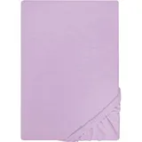 biberna 0077155 Jersey 140 x 200 - 160 x 200 cm viola
