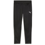 Puma teamGOAL Training Pant