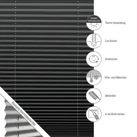 GARDINIA Plissee Concept Thermo 100 x 130 cm schwarz