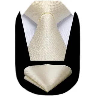 Krawatte Einstecktuch Set Herren Hochzeit Business Heller Champagner