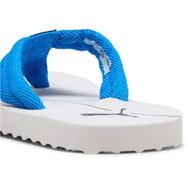 Puma Epic Flip Flop Racing Blue/Black 47