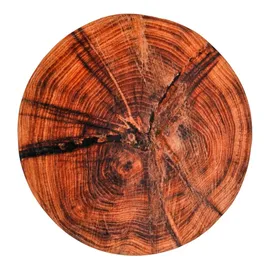 Sanilo »Old Tree«, Ø 80 cm