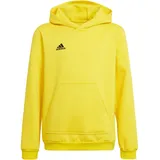 Adidas Entrada 22 Hoodie, Team Yellow/Black, 116