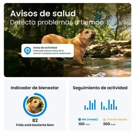 tractive DOG 6 GPS-Ortungsgerät Mint