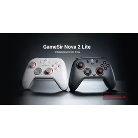GameSir Nova 2 Lite Controller Grau PC / Nintendo Switch