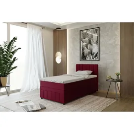 panda möbel Boxspringbett Einzelbett 100x200, Rot, AVALON, mit Bettkästen, mit Matratze, mit Topper, Panda Möbel - Rot