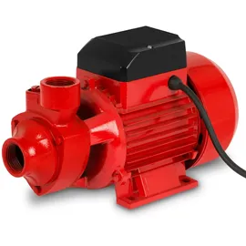 Eberth Wasserpumpe 1 Zoll Anschluss 750 W 8m Ansaughöhe 60m Förderhöhe 3000l/h