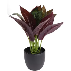 Künstliche Zimmerpflanze BOTANIC-HAUS "Calathea", grün, B:20cm H:20cm T:20cm Ø:20cm, Kunststoff, Kunstpflanzen