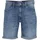 Blend Shorts - blau - 33,33/33