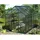 Vitavia Apollo 6200 grün HKP 6 mm 6,2 m2