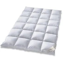 Bach's Bettenwelt Daunendecke Typ Eiderdaune Silverstar 90/10 Daune Klasse 1 Ganzjahresdecke mit Außensteg leicht und kuschelig Deutscher Hersteller Klimaneutral hergestellt vom Bettenfachgeschäft (155x220 cm)