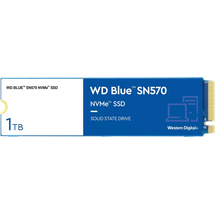 Western Digital Blue SN570 1 TB M.2 WDS100T3B0C