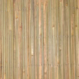 Sol Royal SolVision B89 Sichtschutz Bambus 80 x 600 cm