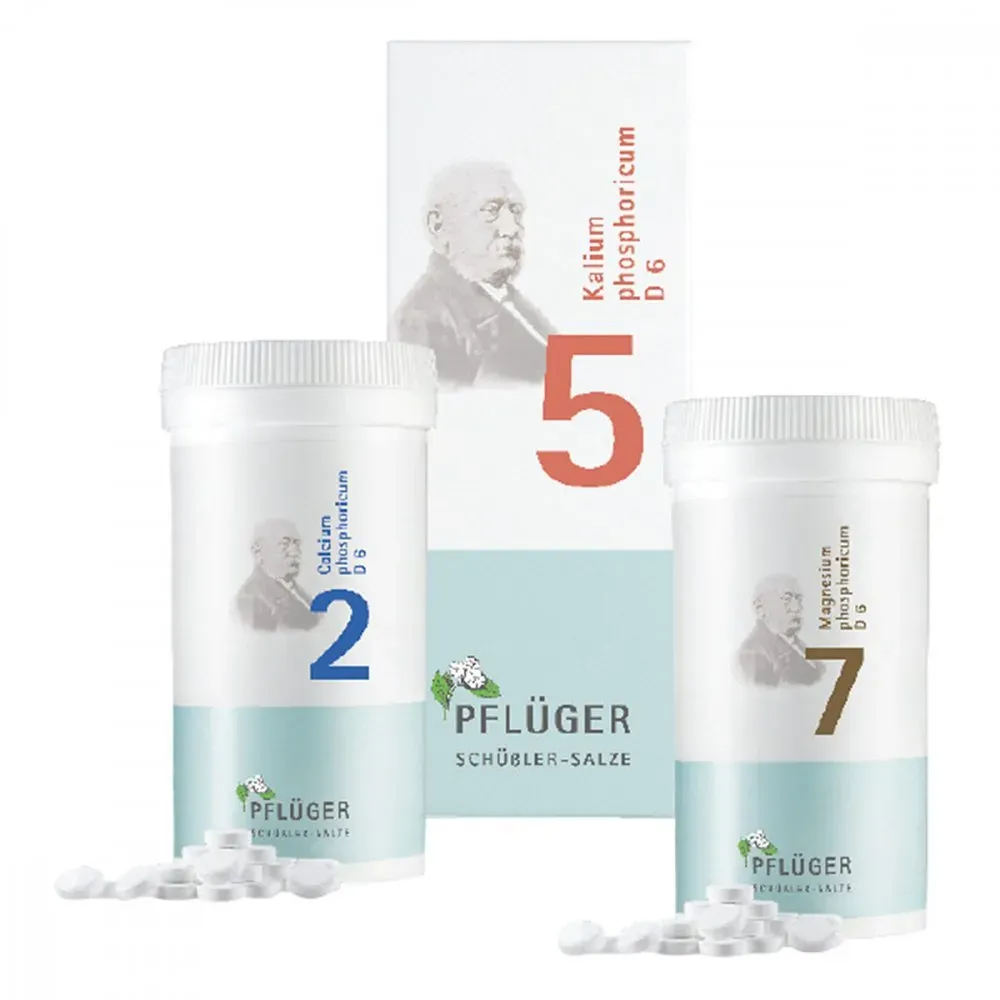 Energie-Plus-Kombi von Pflüger