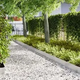 vidaXL Rasenkanten 10 Stk. 100x0,5x20 cm Edelstahl