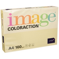 Antalis Coloraction 160 g/m² 250 Blatt (838A160S50)