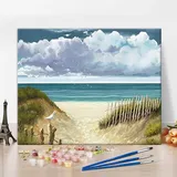 Malen nach Zahlen Kits, Strand Malen nach Zahlen für Erwachsene Anfänger, DIY blau natürliche Landschaft mit Seevögeln Malen nach Zahlen, 16x20 Inch Malen nach Zahlen für Home Decor ohne Rahmen