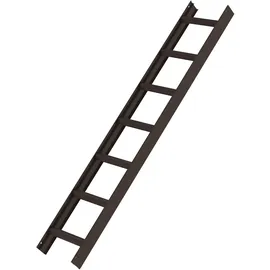 Günzburger Dachleiter 10 Sprossen 11117