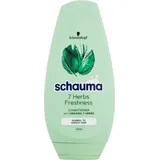 Schwarzkopf Schauma 7 Herbs Conditioner für normales und fettiges Haar 250ml