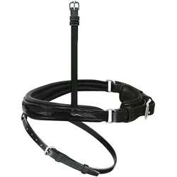 Passier Anatomischer Wechselnasenriemen Reithalfter Spezial mit Lackleder