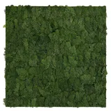 52 x 52 cm dark green