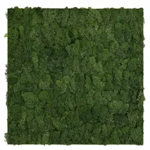 JANGAL Wandpaneel Modular Wall 52 x 52 cm dark green