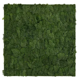JANGAL Wandpaneel Modular Wall 52 x 52 cm dark green