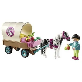 Playmobil Country Ponykutsche 70998