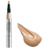 Perfect Teint Concealer 9 ivory,