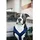 Kentucky Active Velvet Hundegeschirr Navy XL 48-70 cm