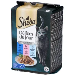 Sheba Délices du Jour - Gelee-Auswahl für erwachsene Katzen