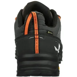 Salewa Alp Trainer 2 GTX Herren Bungee Cord/Black 46