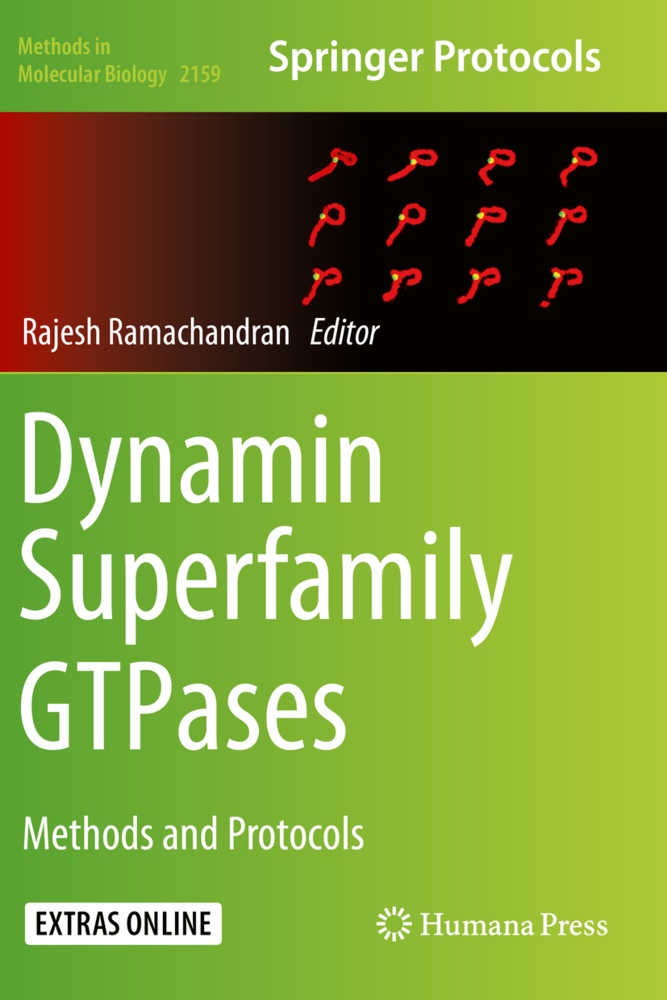 Dynamin Superfamily Gtpases  Kartoniert (TB)